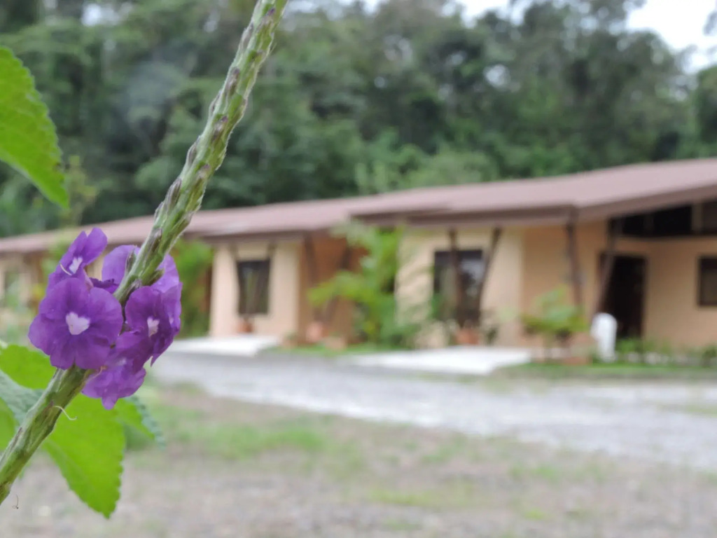 Aunty Arenal Lodge