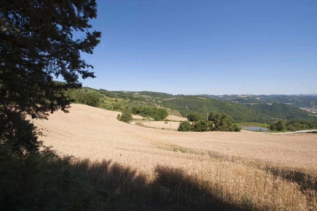Tenuta di Biscina