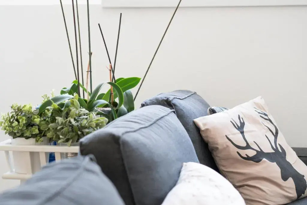 easy-flat Pilgramgasse - Apartments near Metro