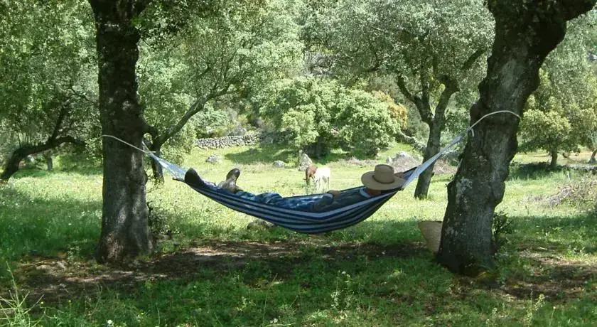 Finca al-manzil