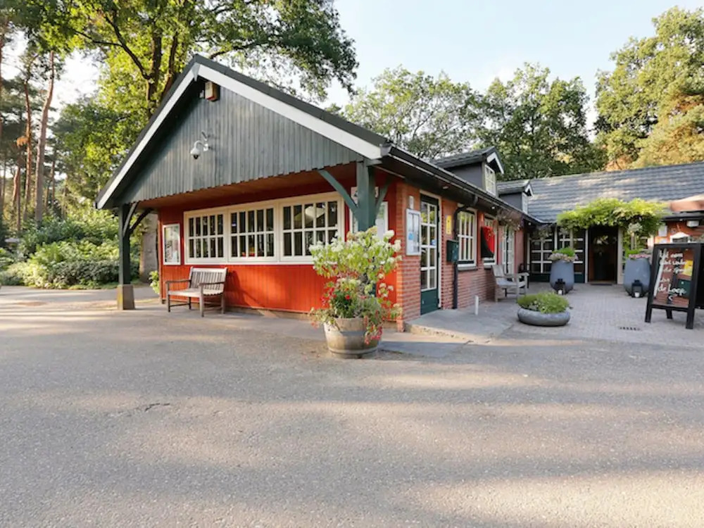 Wellness Forest Retreat