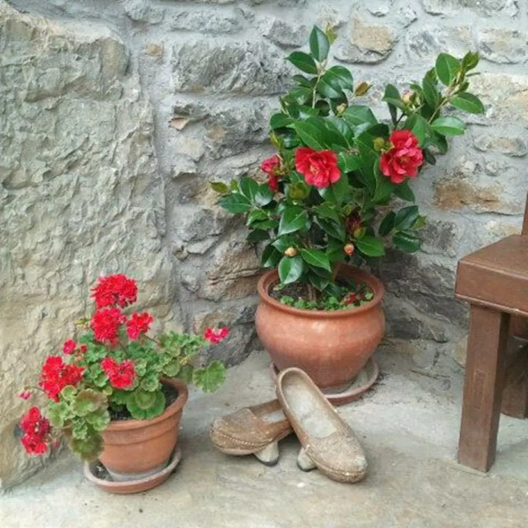 El Colladín