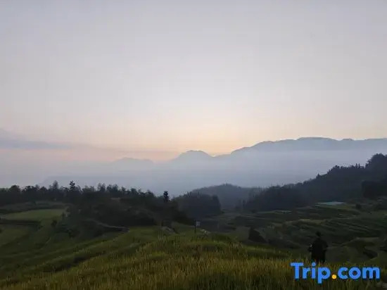 photographer Homestay