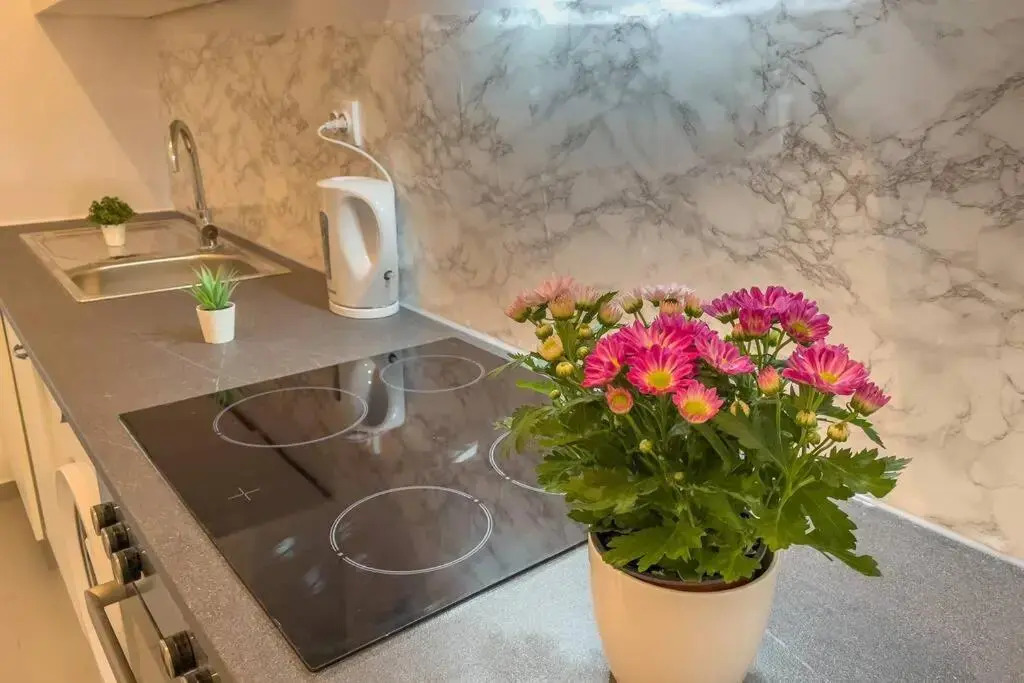 Renovated Cosy Studio near Central Station
