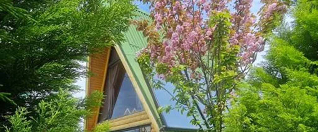 El Mundo Bungalove