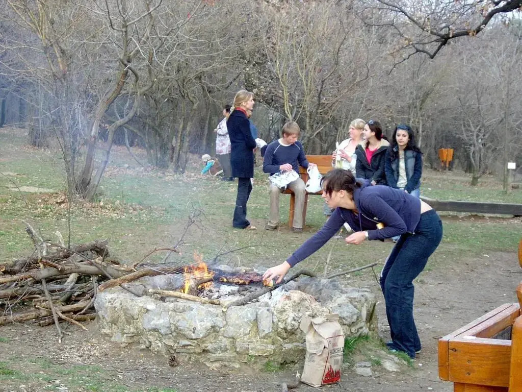 Berg Toboz Panzió