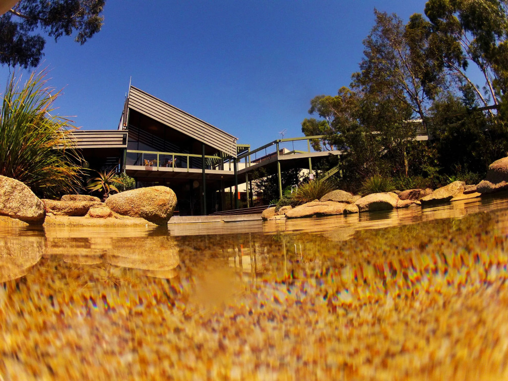 Eden Oak Geelong