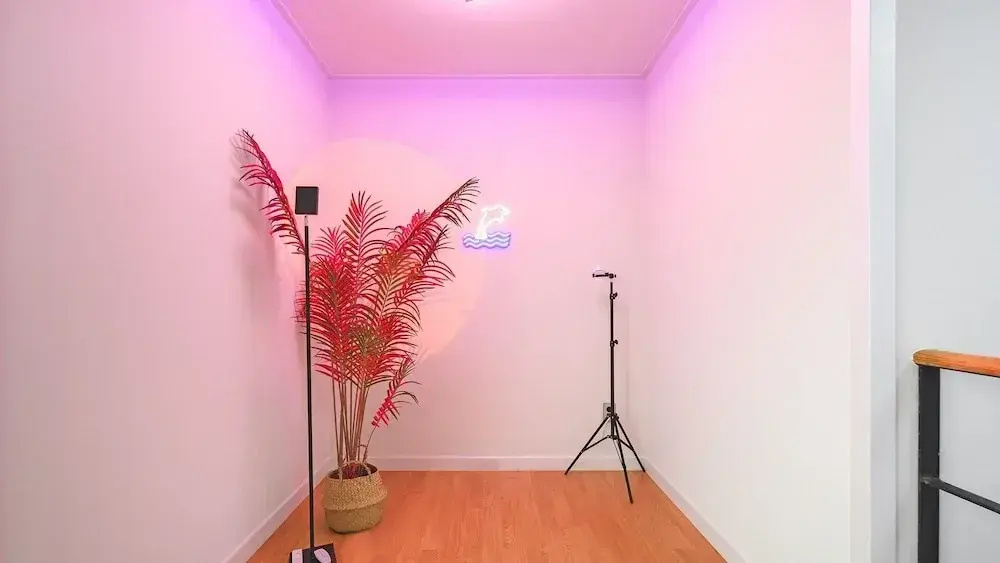 casadelfino in jeju