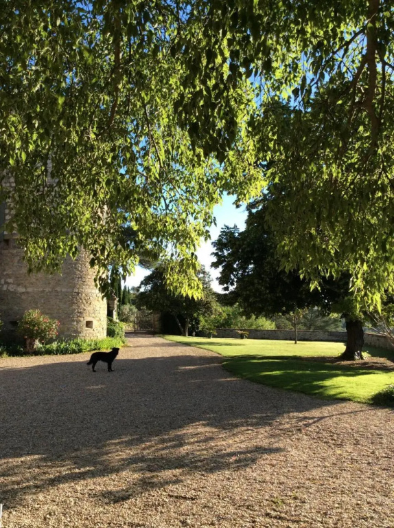 Château de Rousson