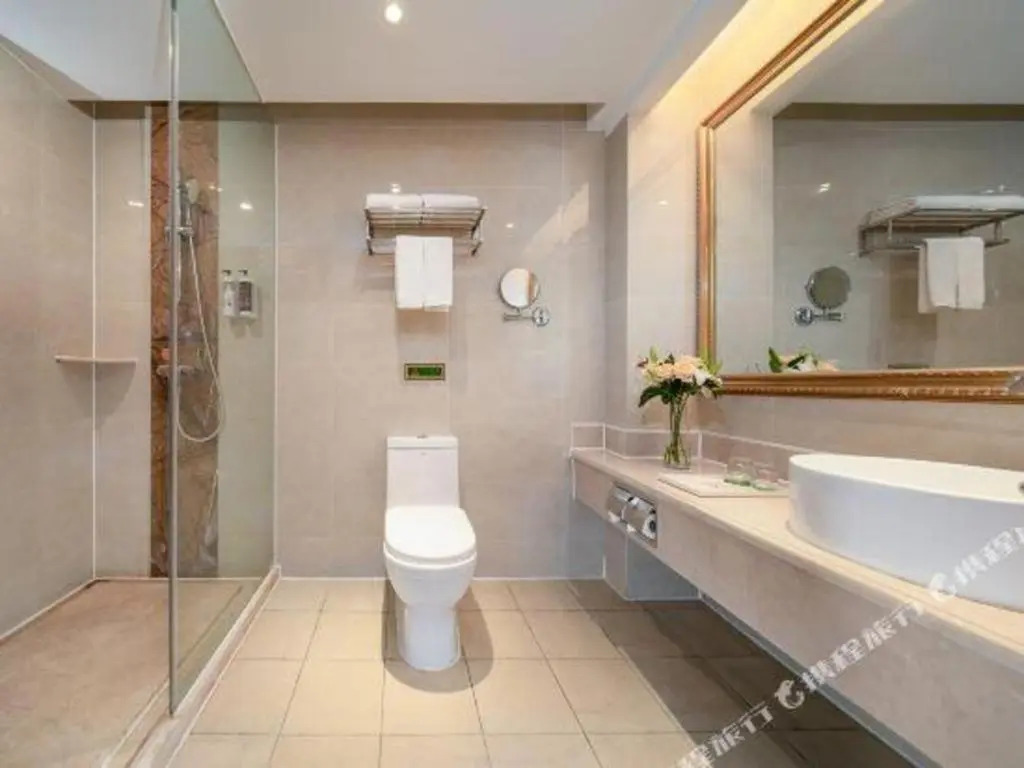 Vienna Hotel Chengdu Airport Shuangliu Wanda - Domestic Guests