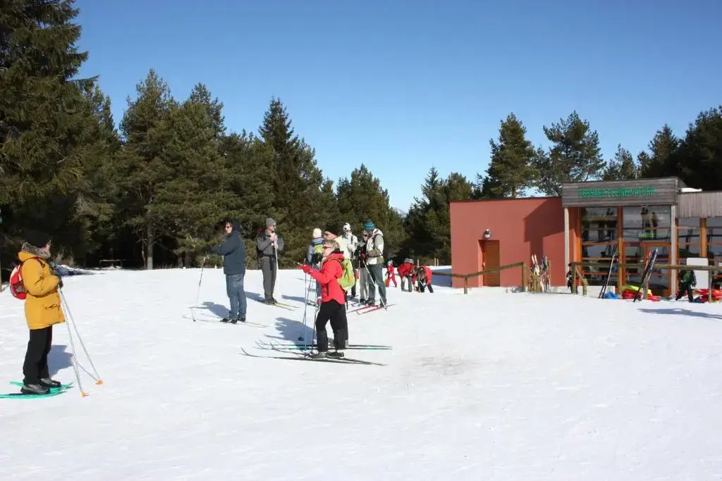 Volcans Vacances Les Chalets Du Lac