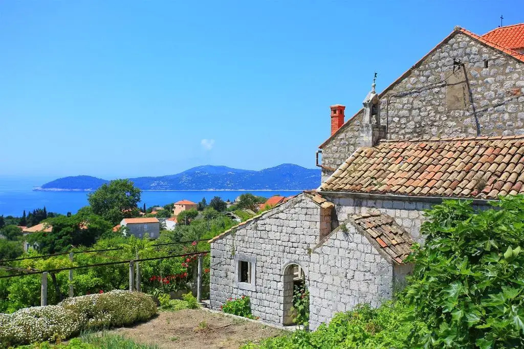 Apartment & Rooms Savonari