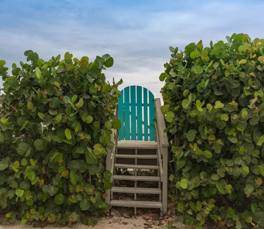 6530 S. Atlantic Avenue Vacation Home - 2Br Home