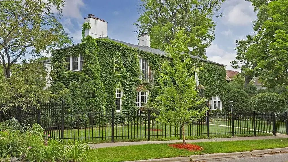Victorian Ivy