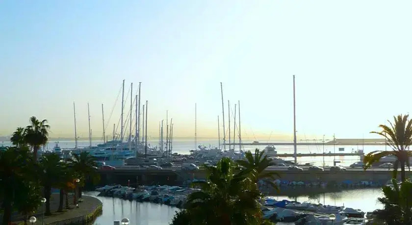 Palma Vista