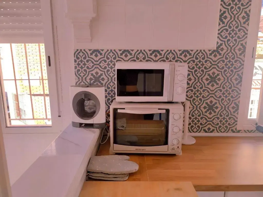 Penthouse duplex with private terrace and cine room 24h entrance