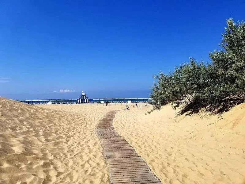 Елизавета