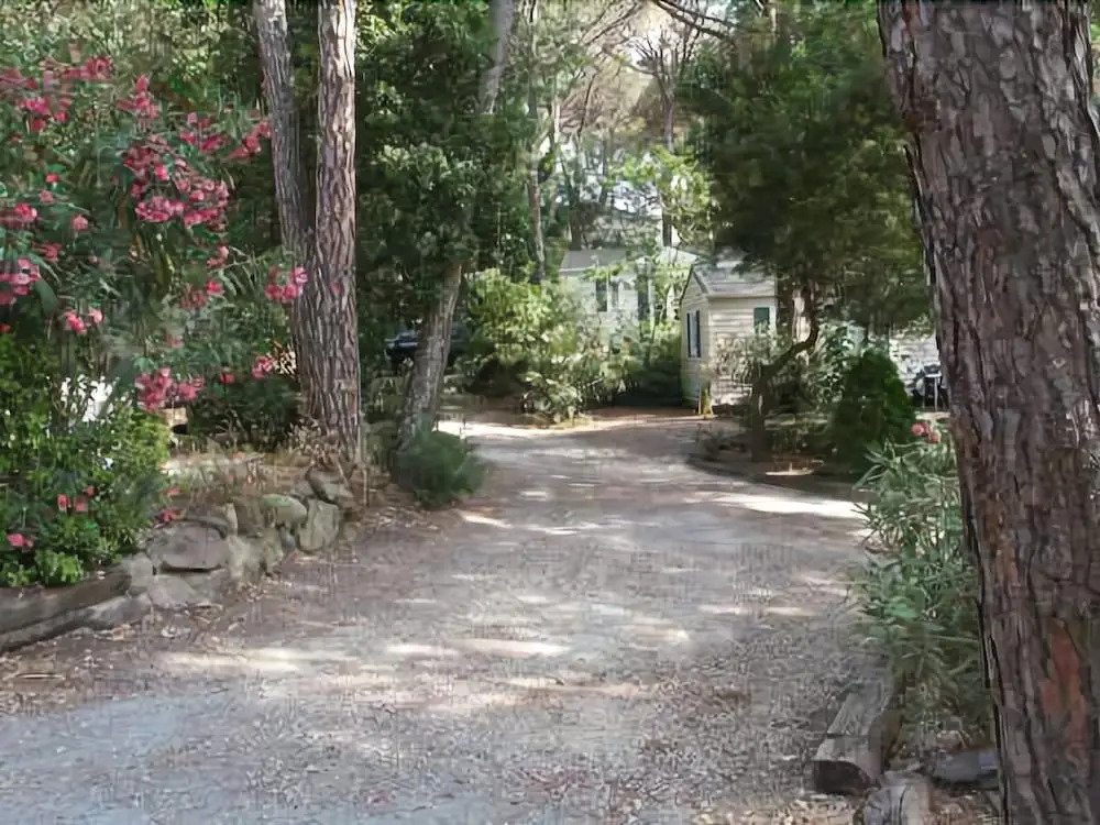Douce Quiétude - Campsite
