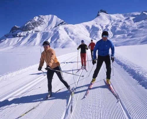 Ferienchalet Monika OG