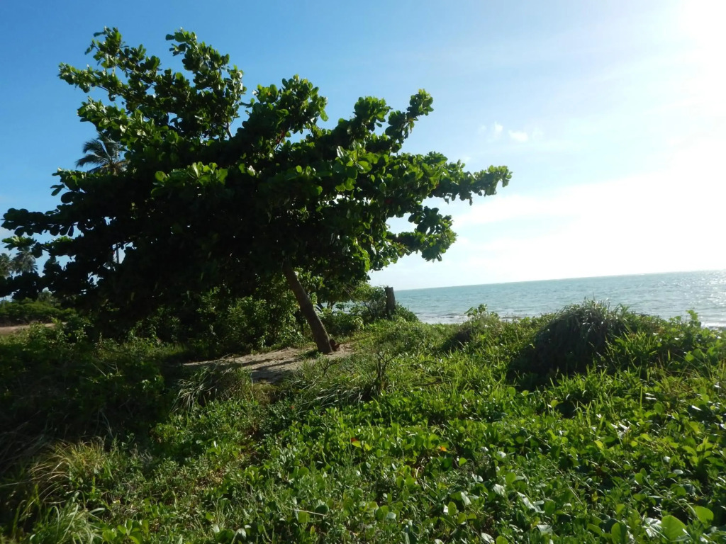 Casa de Praia com Piscina, Peroba - Maragogi