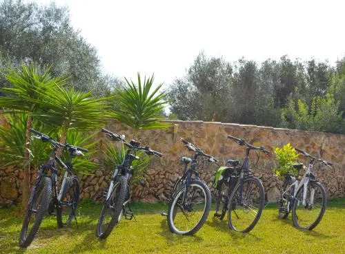 Finca Amapola