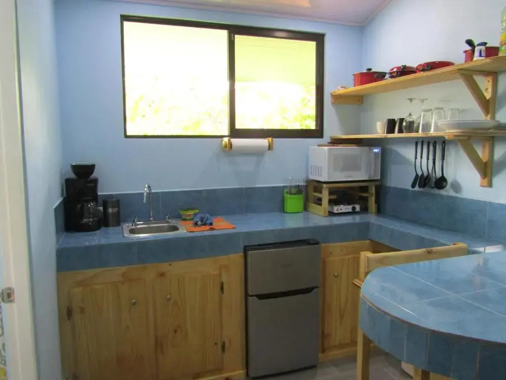 Peace of Paradise Breakfast Included Free Manuel Antonio Park Tour