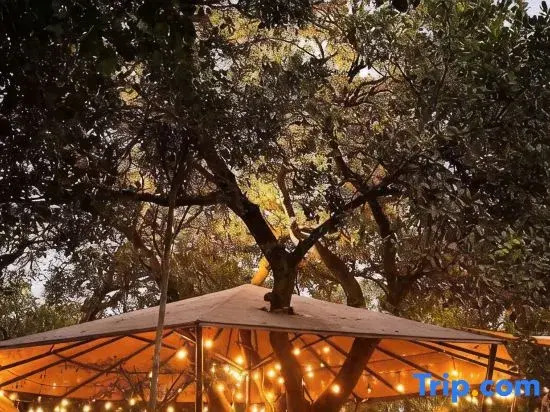 Tropical eglamping