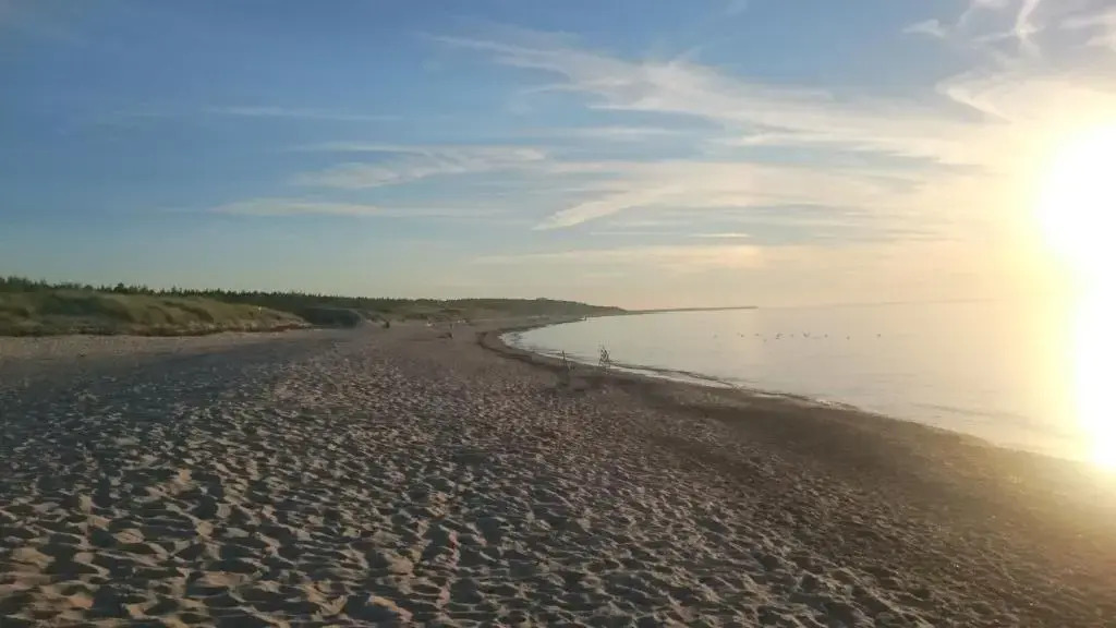 Ustka Forest