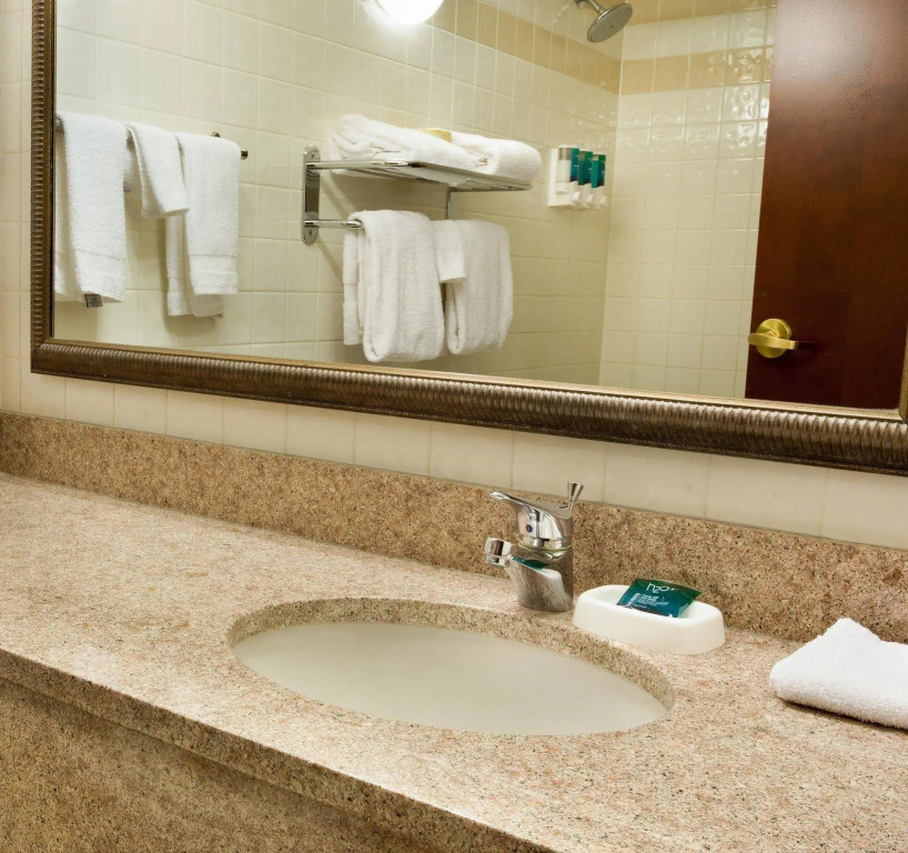 Drury Plaza Hotel St Louis Creve Coeur