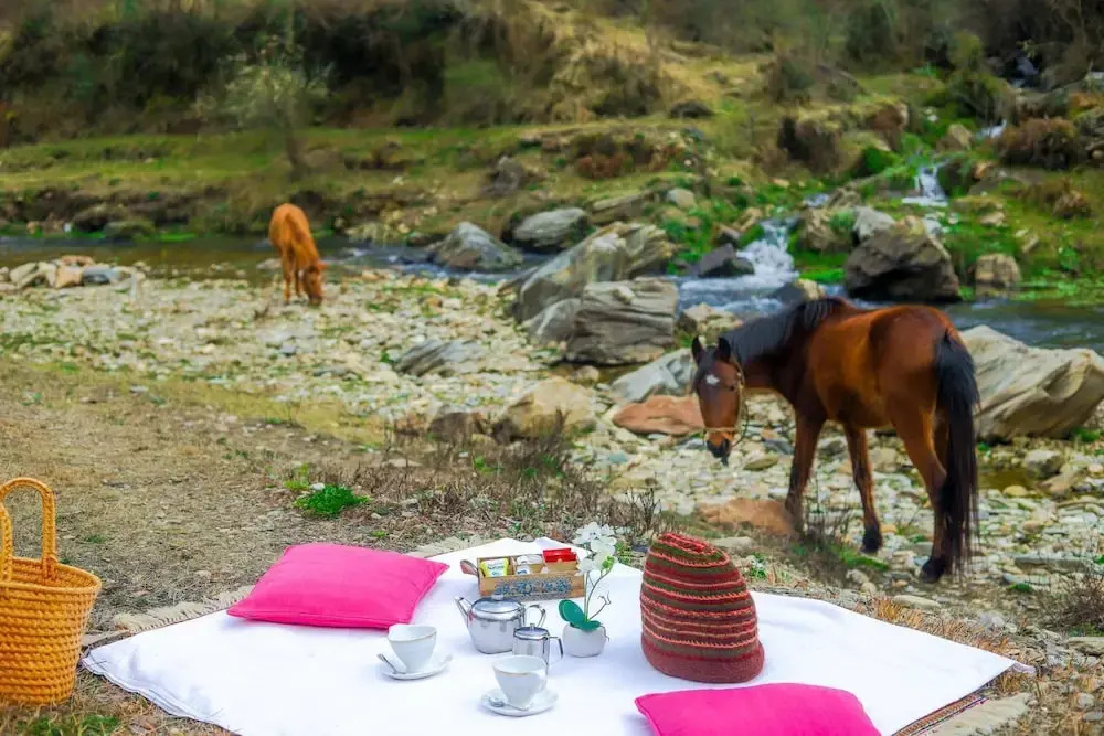 V Resorts Bob's Place Nathuakhan