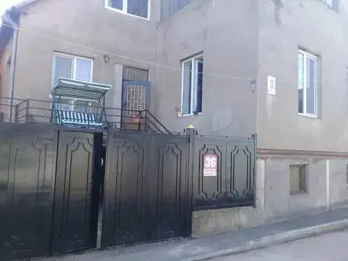 Lizi House
