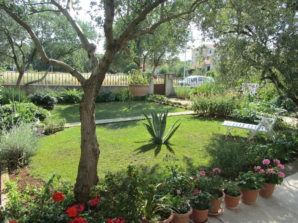 Apartments Mactra
