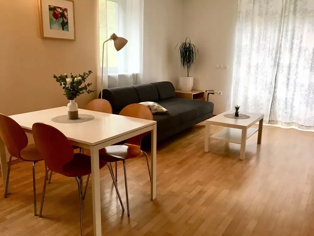 Apartment Muznik