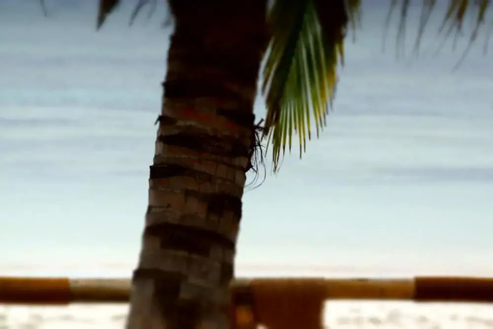 Amani Beach Villa