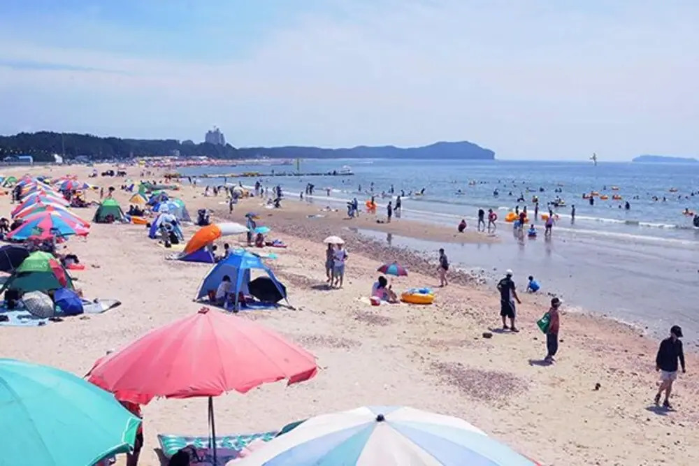 Taean The Day Pension
