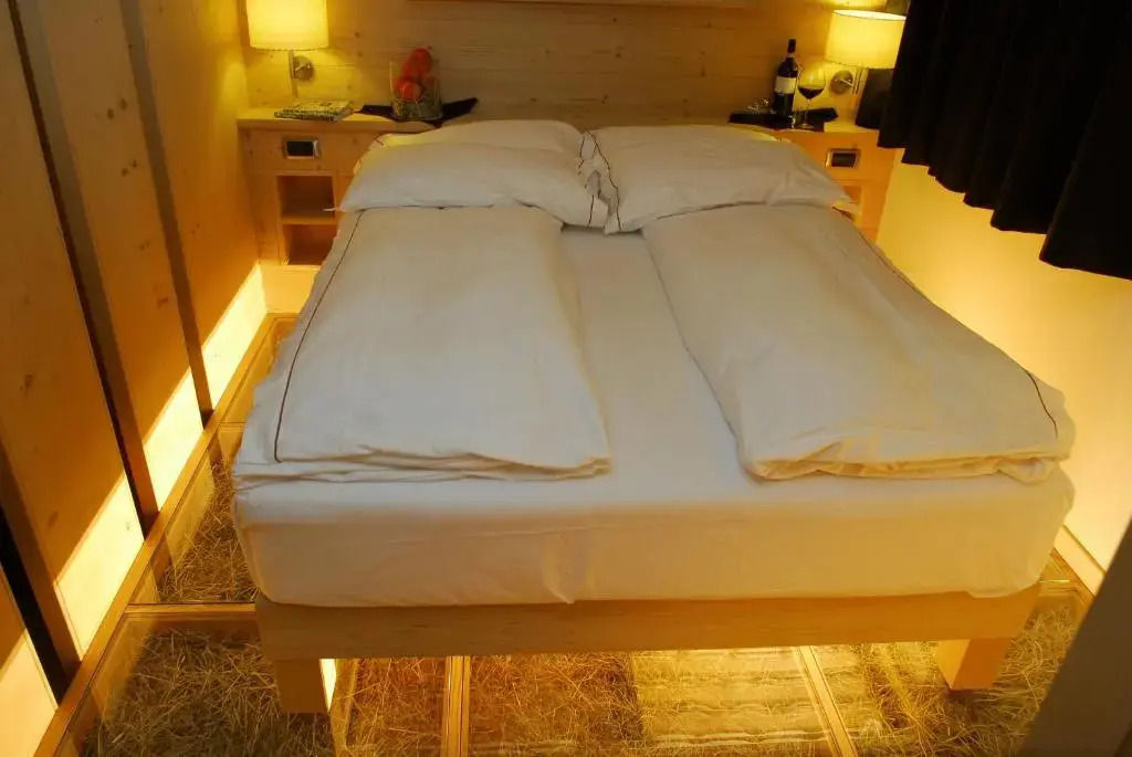 Alpen Hotel Chalet