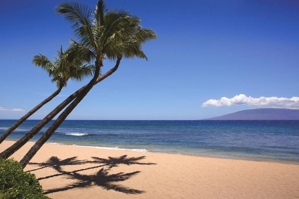 Marriotts Maui Ocean Club - Molokai, Maui & Lanai Towers