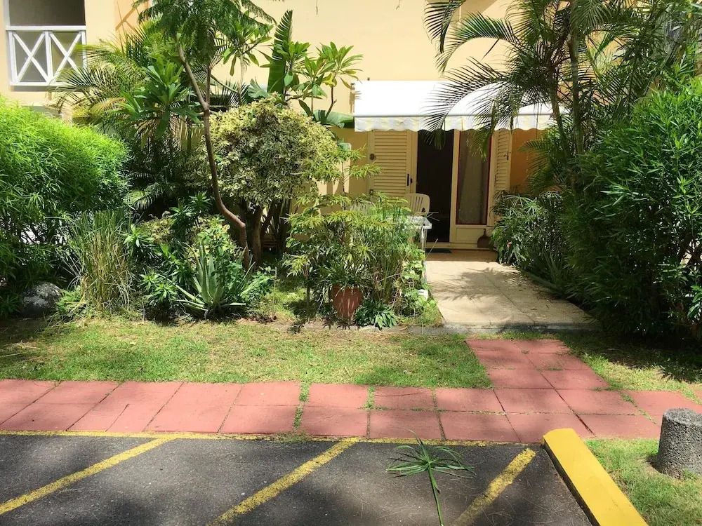 Studio in St Paul , with Wonderful Mountain View, Furnished Garden And Wifi