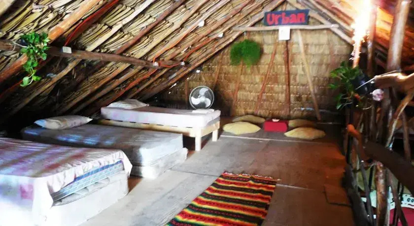 Xaman Eco-Hostel