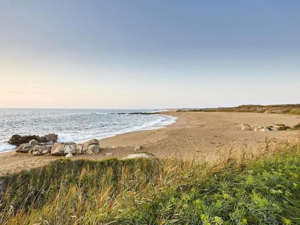 Appartement Les Sables-d'Olonne, 2 pièces, 5 personnes - FR-1-92-711