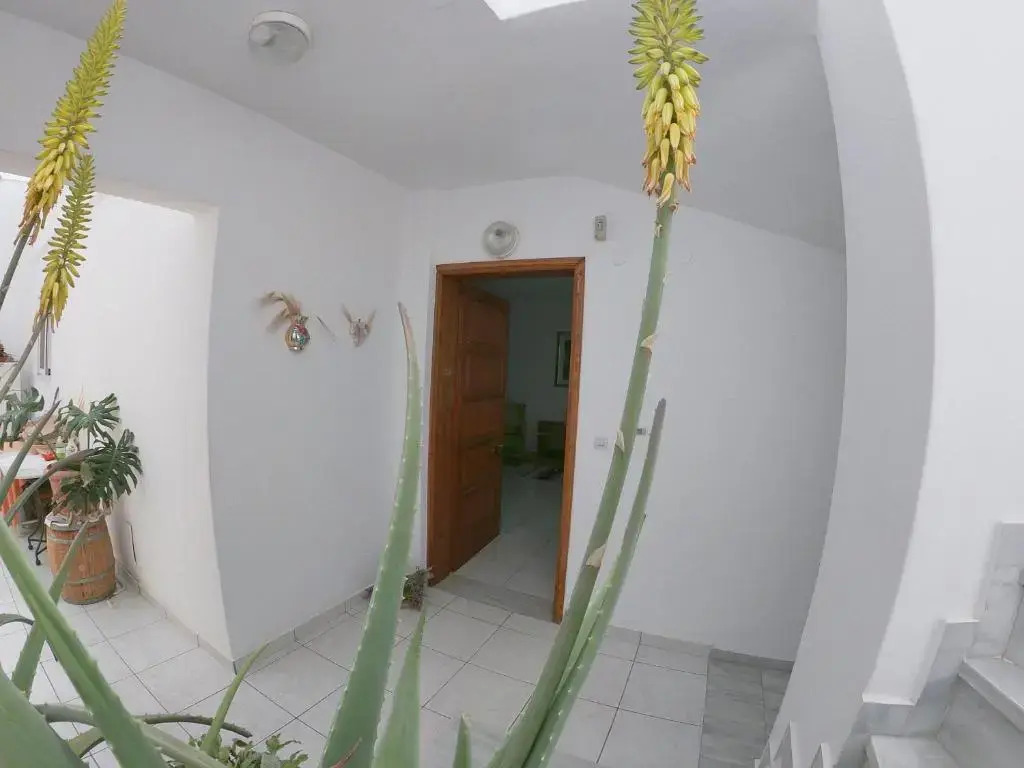 KOS Family House