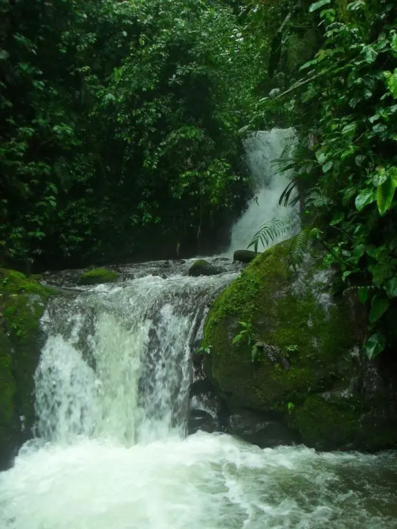 Santa Lucia Ecolodge