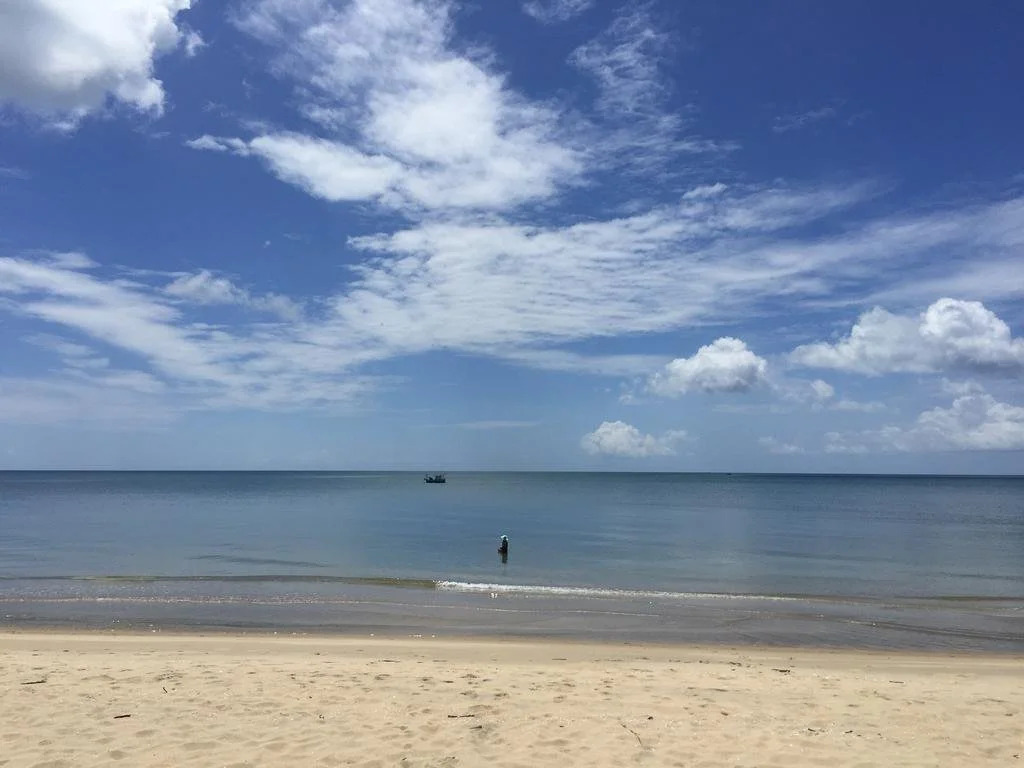 155 SalaCoco