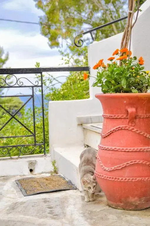 Heracles Guesthouse