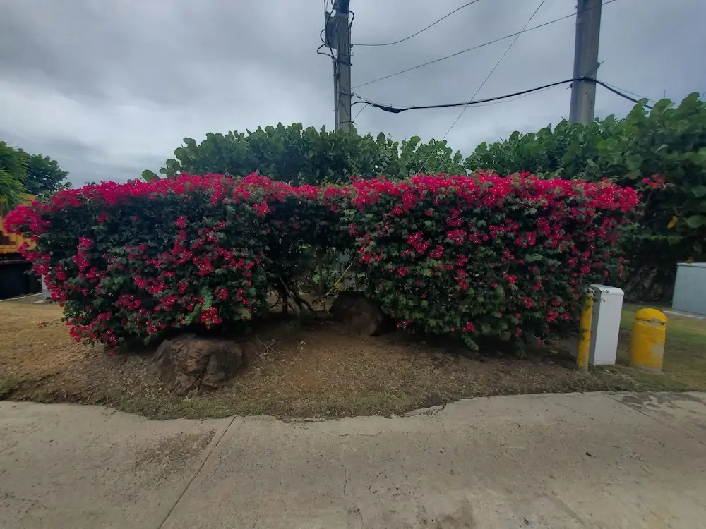 EliMar Bay View Apt