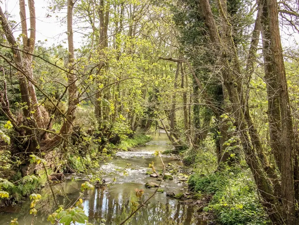 Kingfisher Lodge