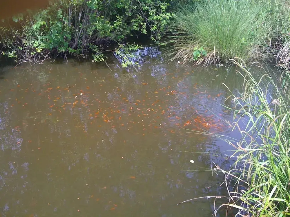 Hameau de Rozes