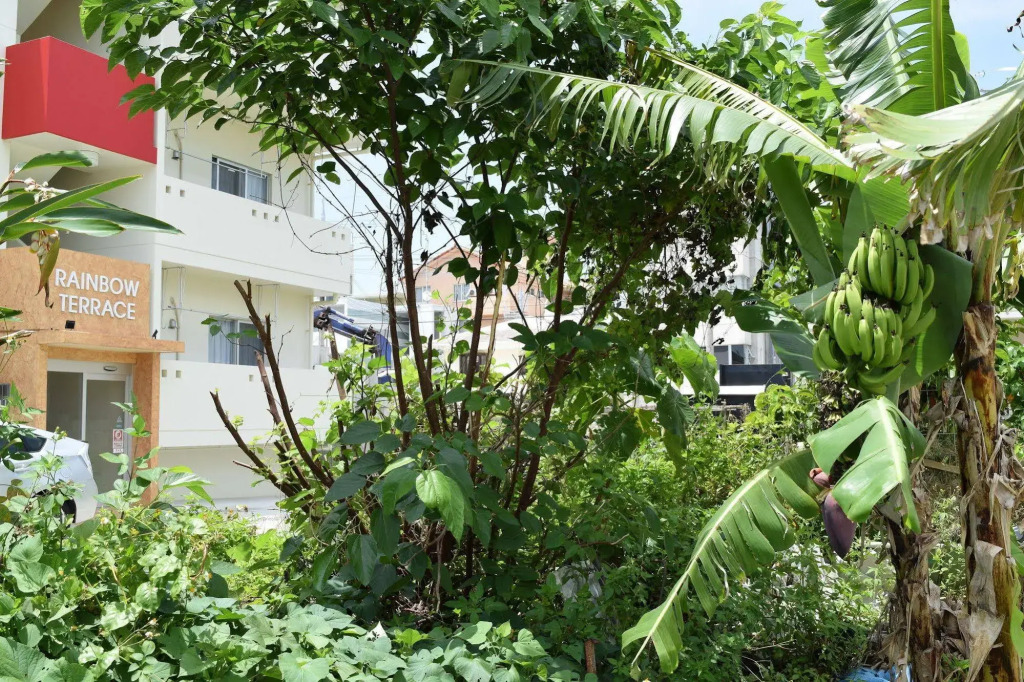 Rainbow Terrace