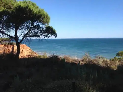 Sailing Studio Açoteias