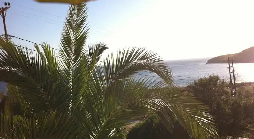 Delfini Suites